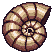 fossil_shell