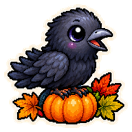Baby Crow